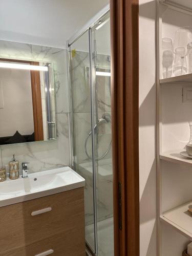 a bathroom with a shower and a sink and a mirror at ANNA'S APARTMENT in Rome