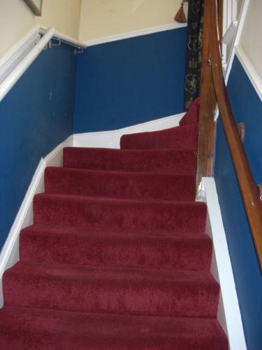 a set of stairs with red carpet and blue walls at Lynebank House Hotel, Bed & Breakfast in Carlisle