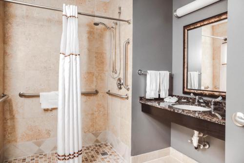 een badkamer met een douche en een wastafel bij The Inn On Sheridan in Zion