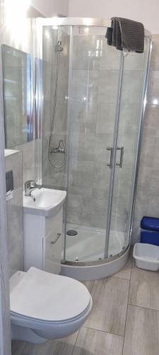 a bathroom with a shower and a toilet and a sink at UniBal - pokoje gościnne in Unieście