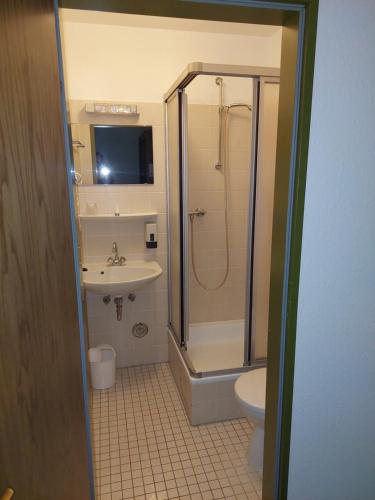 a bathroom with a shower and a sink and a toilet at Landgasthaus Tannenhof in Ahrbrück