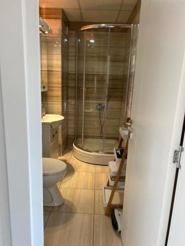 a bathroom with a shower and a toilet and a sink at Monako Luxury Apartment in Vrnjačka Banja