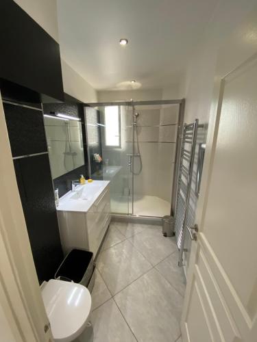 uma casa de banho com um WC, um lavatório e um chuveiro em Appartement Key West à Saint Raphaël em Saint-Raphaël