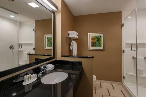 y baño con lavabo, espejo y ducha. en Fairfield Inn & Suites by Marriott Cuero, en Cuero