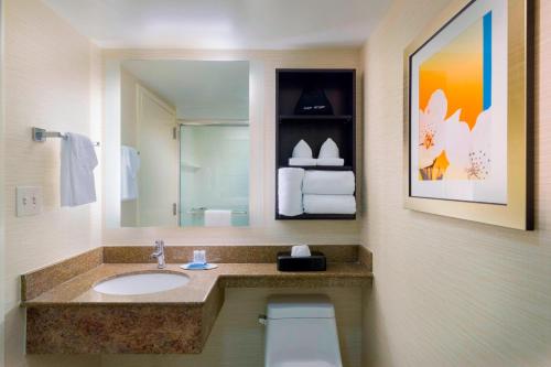 a bathroom with a sink and a toilet and a mirror at Fairfield Inn & Suites by Marriott Paramus in Paramus