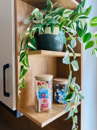 a wooden shelf with a potted plant on it at Apartment Traumblick Berggipfel in Vordernberg