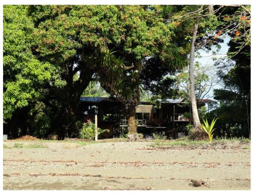 a house with trees in front of a field at Terrazas del Golfo in La Palma