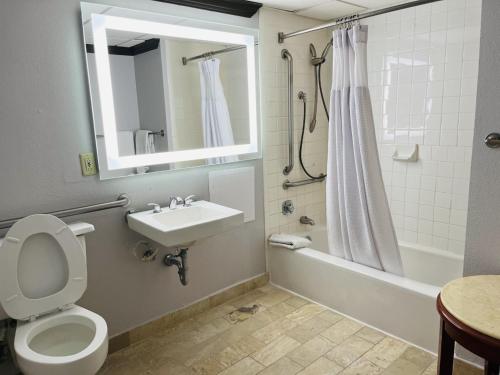 a bathroom with a toilet and a sink and a shower at Wingate Houston near NRG Park/Medical Center in Houston