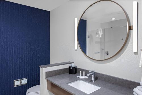 ein Bad mit einem Waschbecken und einem Spiegel in der Unterkunft Fairfield Inn & Suites by Marriott Indianapolis Greenfield in Greenfield