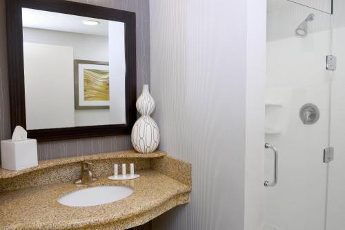 a bathroom with a sink and a mirror and a shower at Courtyard By Marriott Sioux Falls in Sioux Falls