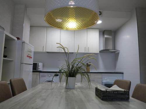 a kitchen with a table with a potted plant on it at Tudela balcón de Bardenas in Tudela