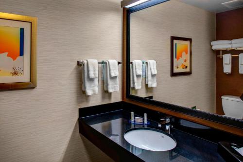a bathroom with a sink and a mirror at Fairfield Inn and Suites by Marriott Emporia I-95 in Emporia