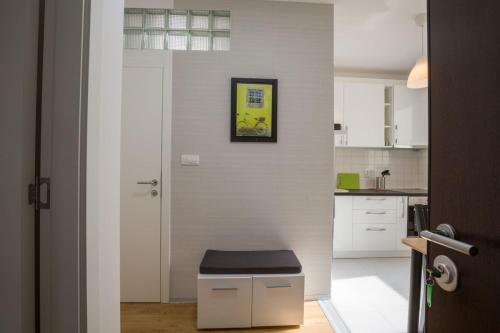 Кухня или мини-кухня в Belgrade apartment Skadarlija II
