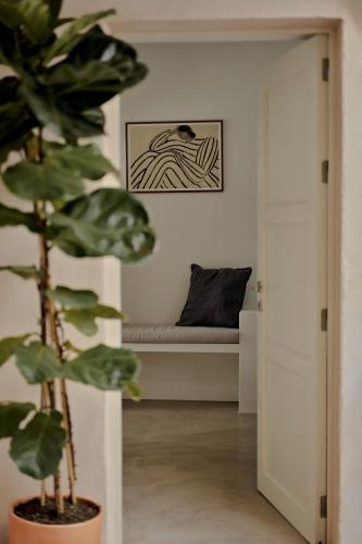 un soggiorno con divano e pianta di Casa Uva - Boutique Guest House a Vejer de la Frontera
