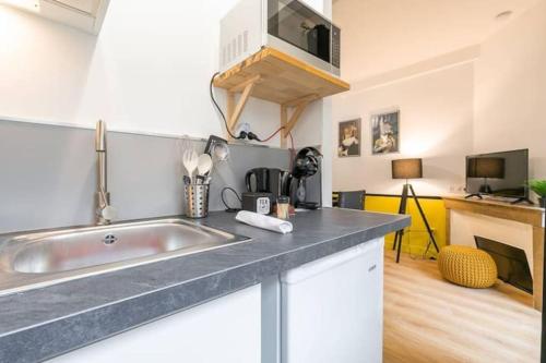 une cuisine avec un évier et un plan de travail dans l'établissement Le Lemon : au coeur du centre historique, à Dijon