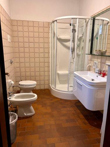 a bathroom with a toilet and a shower and a sink at Agriturismo Cervano in Toscolano Maderno