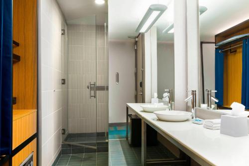 塔拉哈西的住宿－塔拉哈西市中心雅樂軒酒店，一间带两个盥洗盆和淋浴的浴室