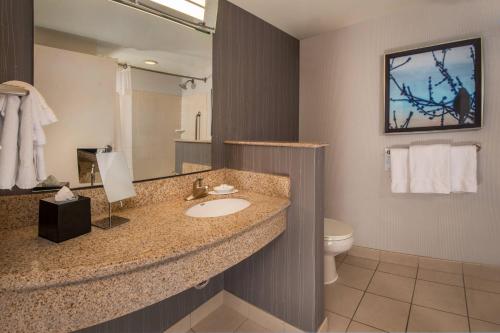 a bathroom with a sink and a toilet and a mirror at Courtyard by Marriott Gaithersburg Washingtonian Center in Gaithersburg