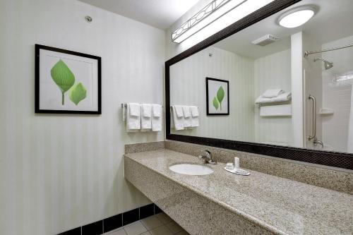 Fairfield Inn and Suites by Marriott San Antonio Boerne في بويرن: حمام مع حوض ومرآة كبيرة