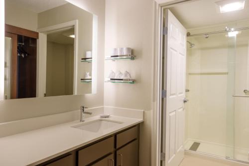a bathroom with a sink and a shower and a mirror at Residence Inn Columbia MD in Ellicott City