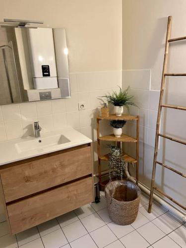 ein Bad mit einem Waschbecken und einem Spiegel in der Unterkunft Charmant Appartement Vannes Centre 30m2 in Vannes