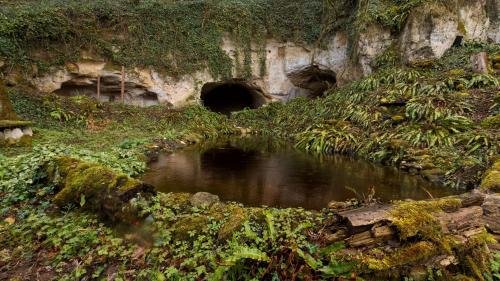 a small pool of water in front of a cave at La Bohème in Paissy