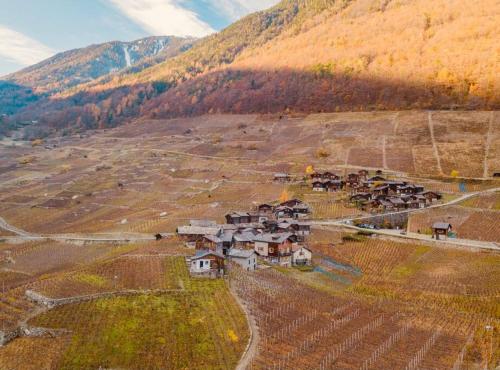an aerial view of a village on a hill at Magnifique Mazot Dans Les Vignes in Martigny-Combe