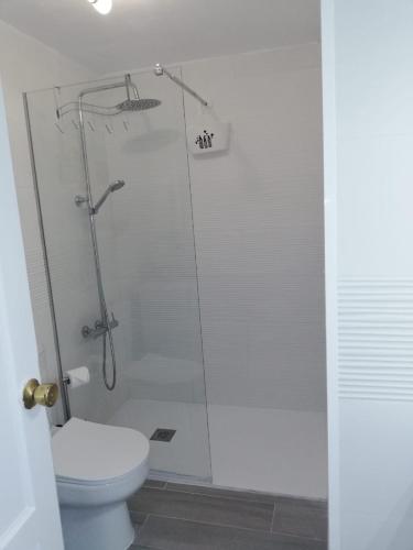 a bathroom with a shower and a toilet at Apartamentos Albaula 5 in El Cotillo