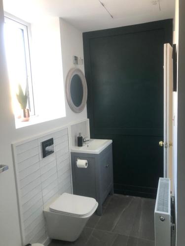 a bathroom with a toilet and a green door at Great Georges Duplex Apt In association with Great Georges house for larger group in Warrenpoint