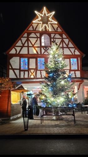 a christmas tree in front of a building at Hotel Rheingraf in Kamp-Bornhofen