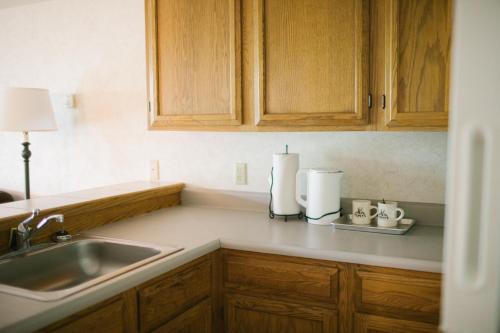 a kitchen counter with wooden cabinets and a sink at Friday Harbor Suites in Friday Harbor
