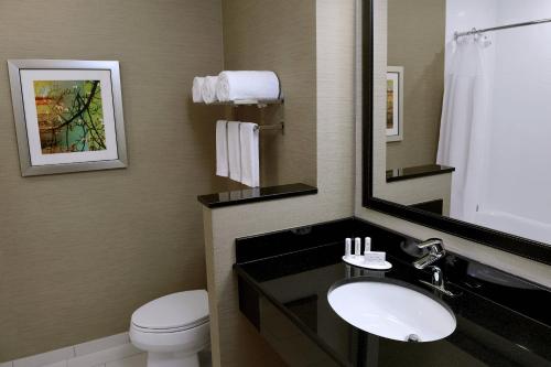 a bathroom with a toilet and a sink and a mirror at Fairfield Inn & Suites by Marriott Omaha West in Omaha