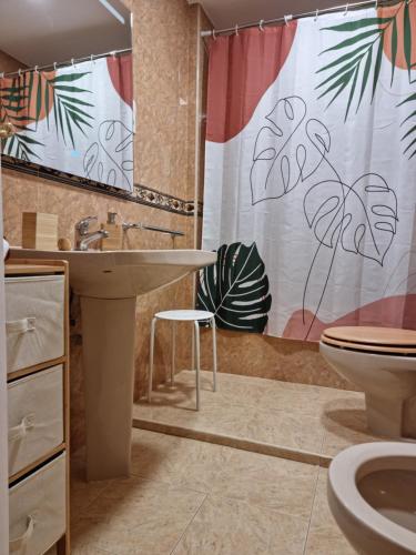 萊昂的住宿－Casa Roman SPORT，浴室配有水槽、卫生间和浴帘