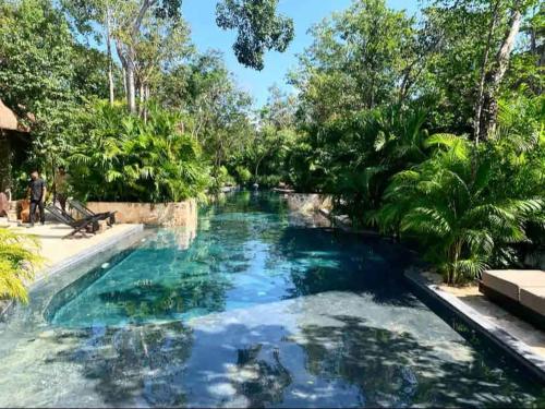 une piscine dans une arrière-cour avec de l'eau bleue et des arbres dans l'établissement Vida Boho Apart 12 with special fee to access Hotel Bardo, à Tulum