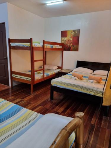 two bunk beds in a room with wooden floors at Southpoint Hostel in Moalboal