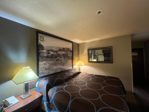 a hotel room with a bed and a picture on the wall at Raceway inn in Martinsville