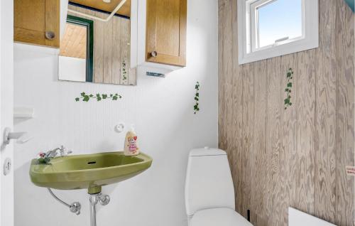ein Badezimmer mit einem grünen Waschbecken und einem WC in der Unterkunft Beautiful Home In Hejls With Wifi in Hejls