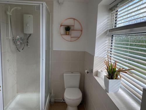 a white bathroom with a toilet and a shower at Spacious Flat In a Victorian House - Free Parking in Bradford