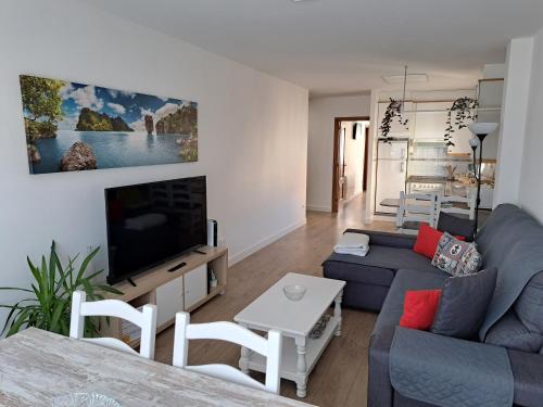 uma sala de estar com um sofá e uma televisão em Apartamento Calvarios em Sanxenxo
