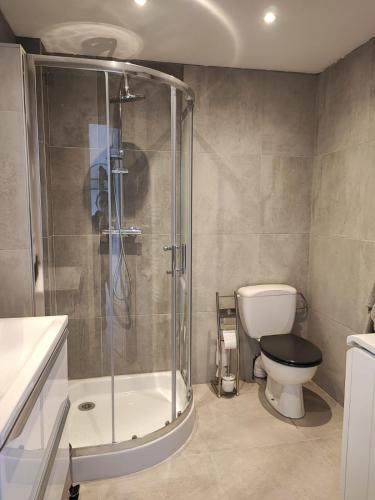 une salle de bain avec toilettes et douche en verre dans l'établissement T2 vue mer, à Six-Fours-les-Plages