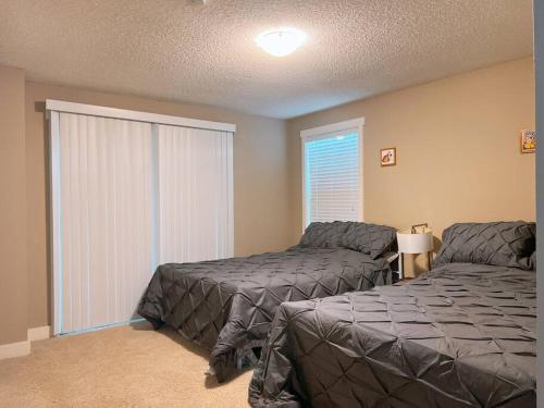 1 dormitorio con 2 camas y ventana grande en Livable E in Bellevue, en Bellevue