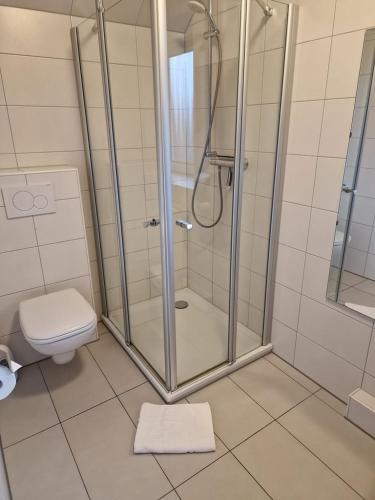 a bathroom with a shower and a toilet at Heidhof in Bispingen