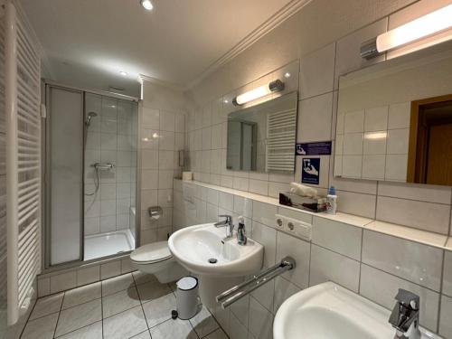 a bathroom with a sink and a toilet and a mirror at Heidhof in Bispingen