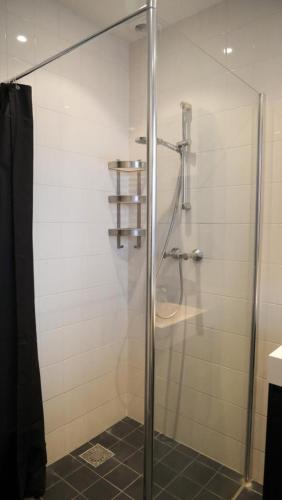 a shower with a glass door in a bathroom at 't Sand Apartment in Zandvoort