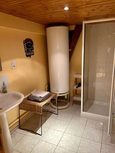 une salle de bain avec douche et lavabo dans l'établissement Le Domaine du Lavoir, à Villemoiron-en-Othe