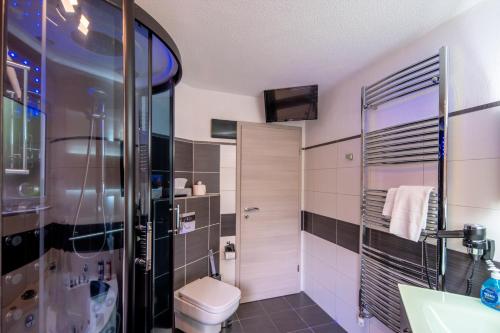 a bathroom with a toilet and a glass shower at Maarberg Resort in Schalkenmehren