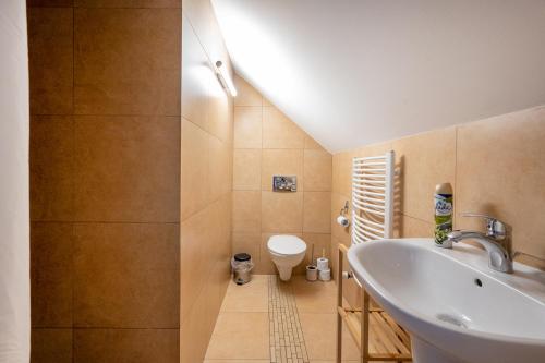 La salle de bains est pourvue d'un lavabo et de toilettes. dans l'établissement Akacjowa Zatoka - Pokoje i Apartamenty, à Mielenko