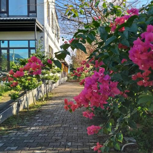 Un jardín fuera de Futian B&B