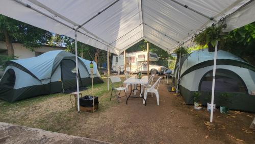 tenda con tavolo e sedie sotto di STAY IN VIEQUES FOR LESS CAMPSITE CASH-PAYPAL COZY FAMILY PLACE-HELP-COORDINATE VACATION 45-00 PLUS USD TAX RENT10FT TENT w QUEEN-BED 2 PILLOWS-LINENS - 5 MINUTES WALK BIOBAY STATIONS -RESTAURANTS ESPERANZA-SUNBAY-BEACHES 7-50 USD PRIVATE TRANSPORTATION a Vieques