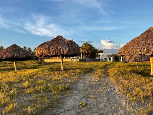 a field with two straw huts and a dirt road at Beachfront Flat Brickell@LaCosta in El Zapote